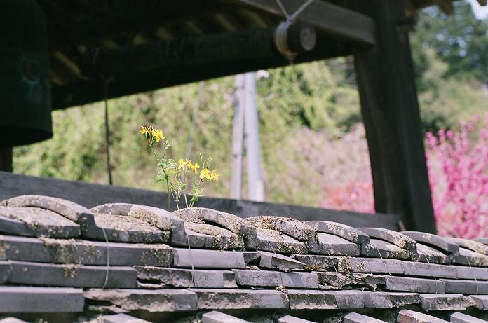 c0046587_21551339.jpg