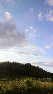 d0247789_21573267.jpg