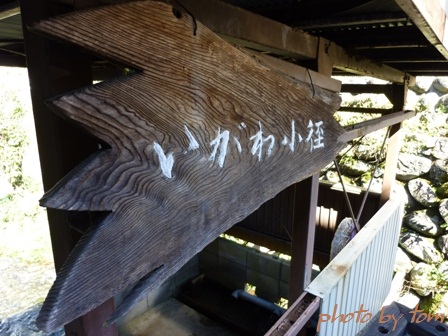 郡上八幡～「水の町」～2つの小径を歩く～_b0155692_18415438.jpg