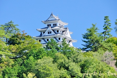 郡上八幡～「水の町」～2つの小径を歩く～_b0155692_20205122.jpg