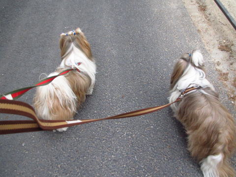 c0090198_5264633.jpg