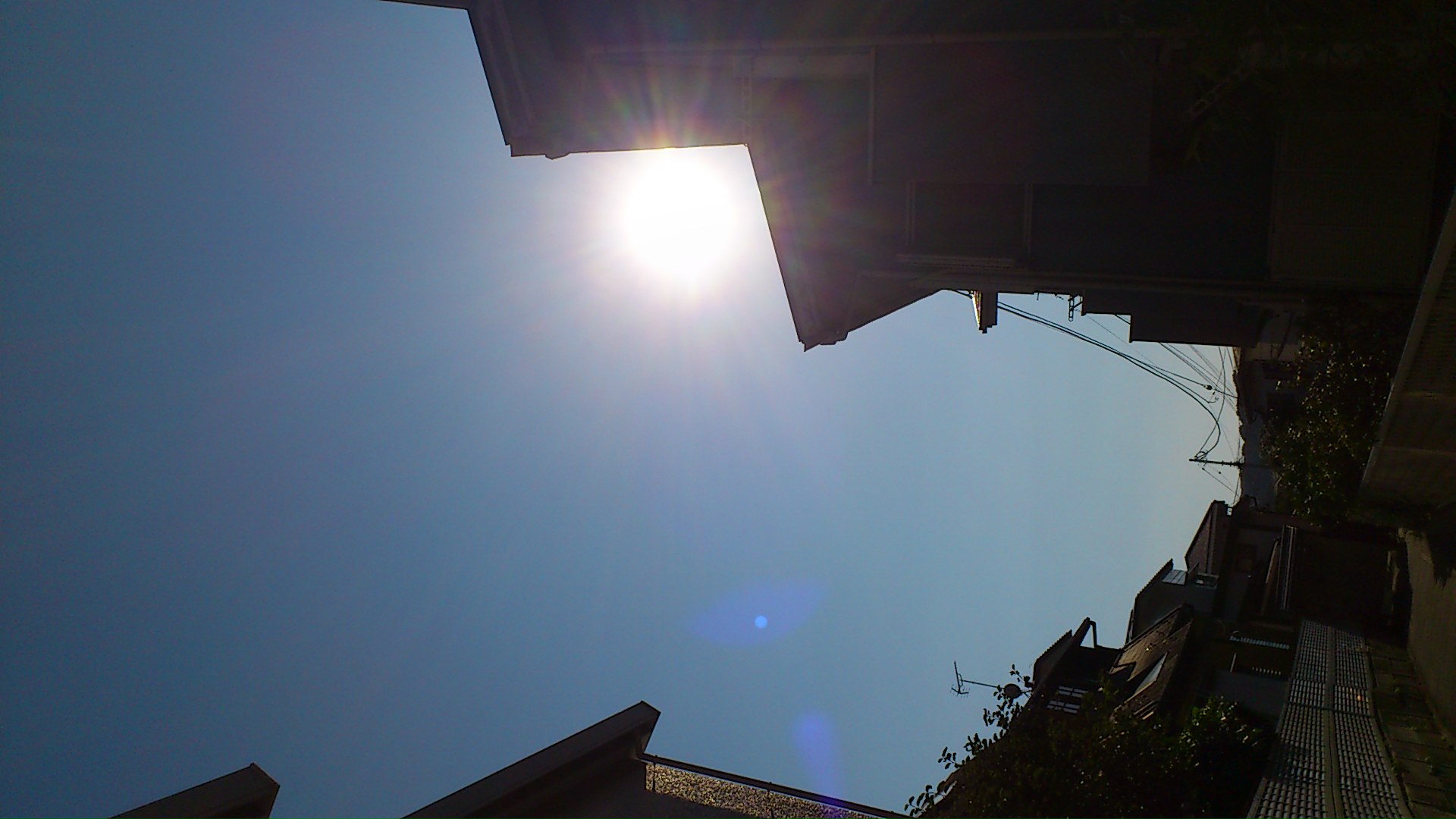 c0221903_15445911.jpg