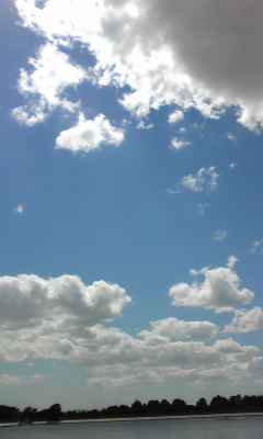 c0180209_12494776.jpg
