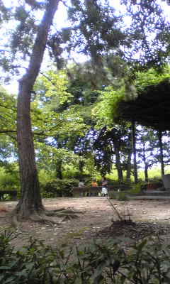 c0180209_12494864.jpg