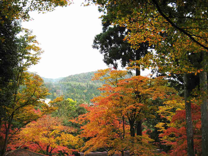 紅葉の神護寺　編　その5_d0154609_1032695.jpg