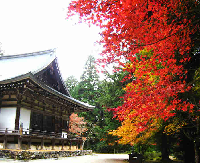 紅葉の神護寺　編　その5_d0154609_9532658.jpg