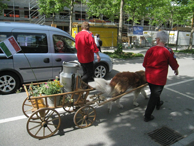 Jodel Festival - Switzerland in Summer 2011_f0033510_036234.jpg