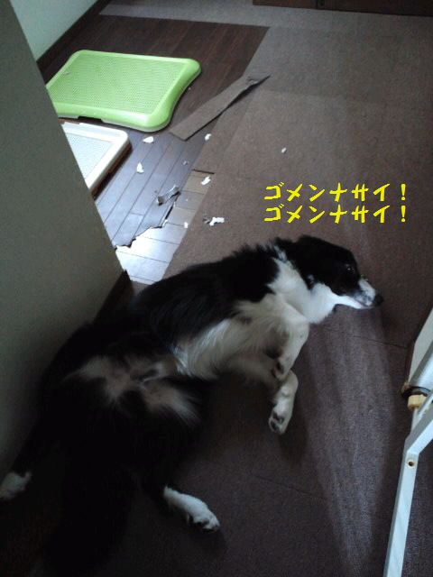 d0224111_2040778.jpg