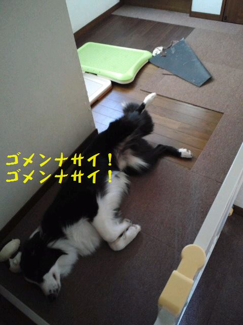 d0224111_20553889.jpg