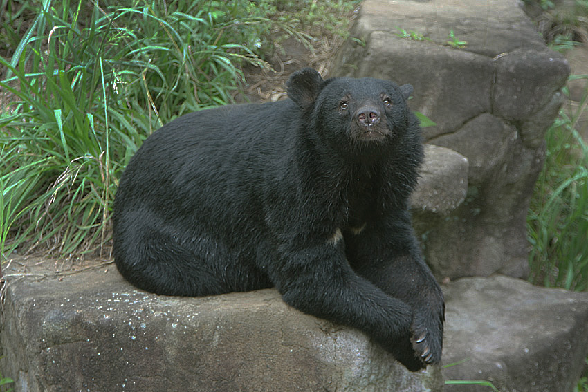 お話ししようょ_b0057213_10365733.jpg