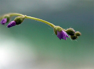e0168016_13103928.jpg