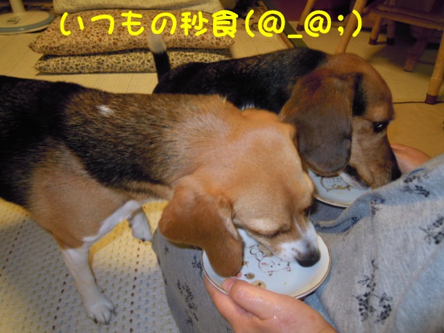 c0166622_851122.jpg