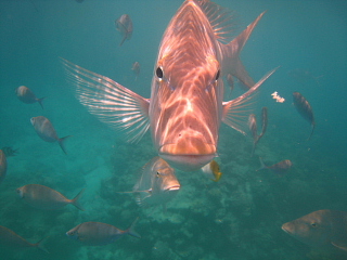 青い海と赤い海_d0046025_0472969.jpg