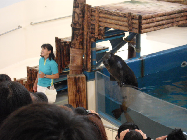 2011年 夏旅行 ~夢が一つ叶いました@鳥羽水族館~_d0104926_6381683.jpg