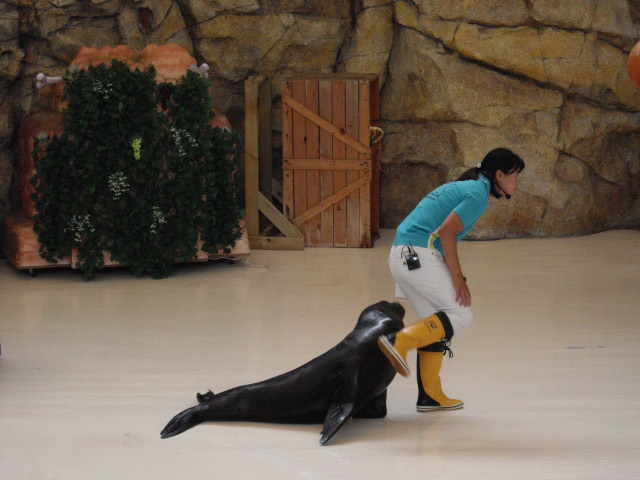 2011年 夏旅行 ~夢が一つ叶いました@鳥羽水族館~_d0104926_639148.jpg