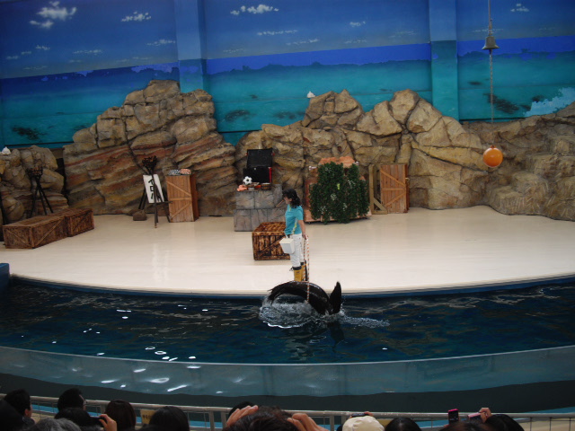 2011年 夏旅行 ~夢が一つ叶いました@鳥羽水族館~_d0104926_641938.jpg