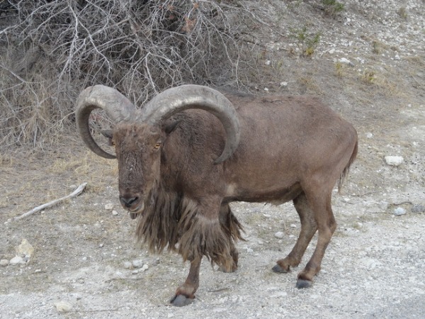 f0238932_1445255.jpg