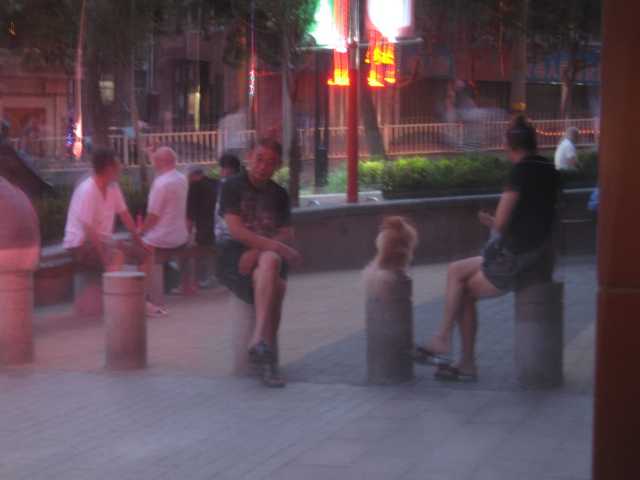 e0052736_1640562.jpg