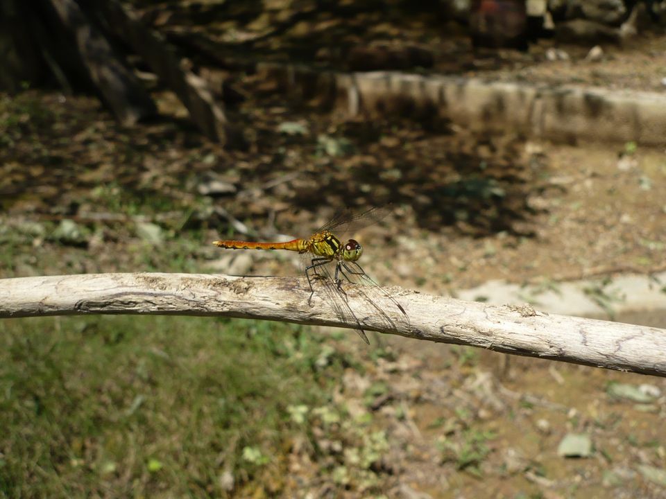 f0090444_05378.jpg