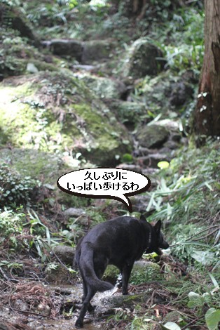 台風後の山歩き_f0137544_21353016.jpg