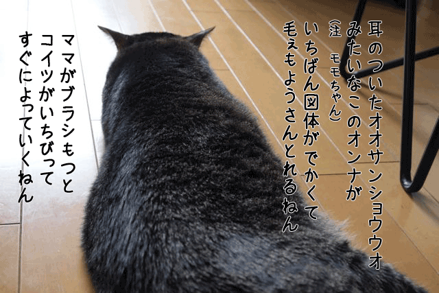 f0116546_2125325.gif