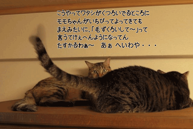 f0116546_213710.gif