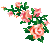a0089450_20275251.gif