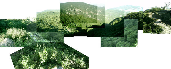 e0033751_1123542.jpg