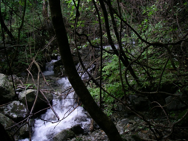 f0212059_20353722.jpg