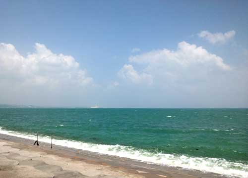 b0101263_15202770.jpg