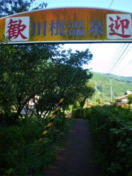 大井川鉄道　「川根温泉笹間渡駅」～東京へ_b0056570_23383623.jpg