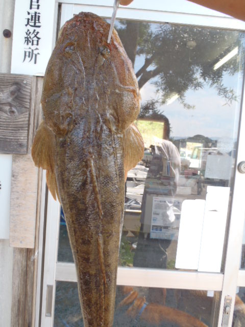 7日の釣果_a0077071_21535667.jpg