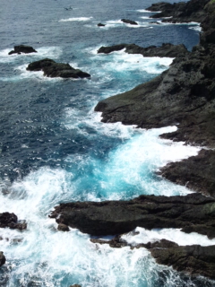 e0204372_11293.jpg