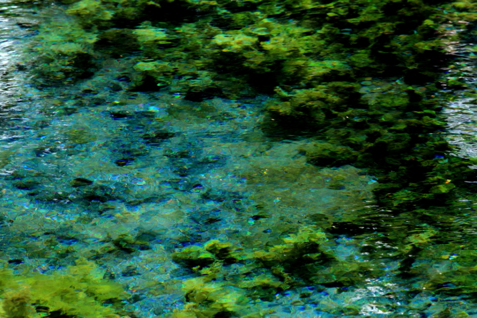 a0236376_1755238.jpg