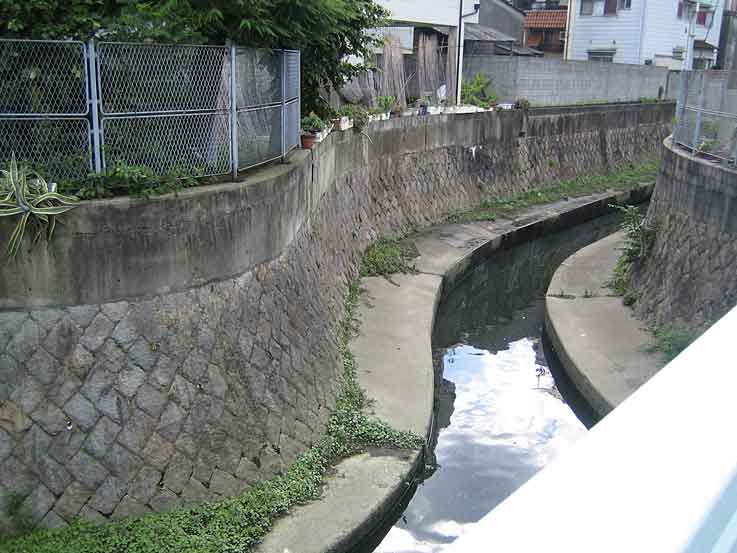 b0057679_8273530.jpg