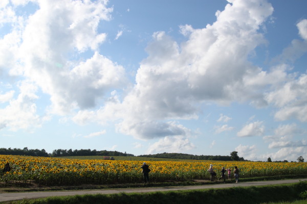 b0143686_23275532.jpg