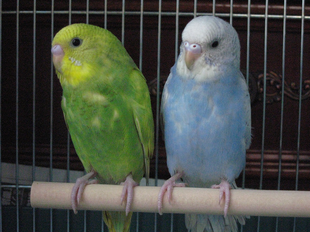 c0128388_81668.jpg