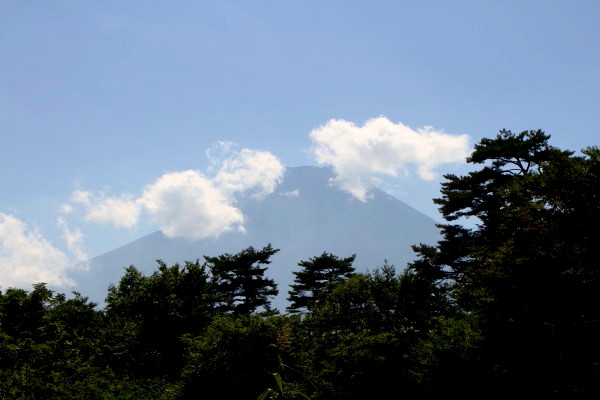 忍野の流れはカフェオレ_d0127888_21595591.jpg