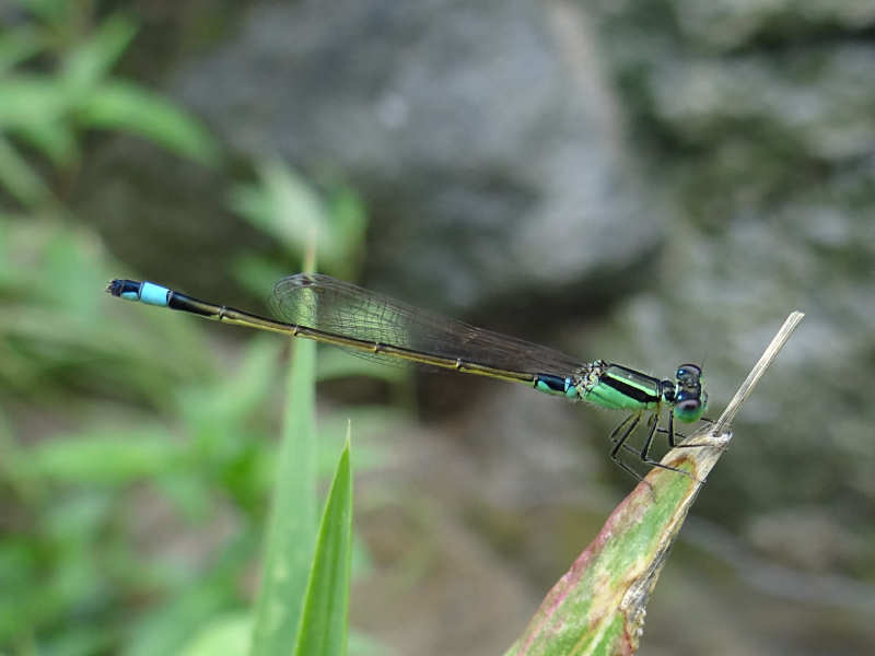f0204094_2341157.jpg