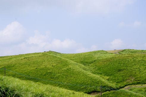 d0149103_8351181.jpg