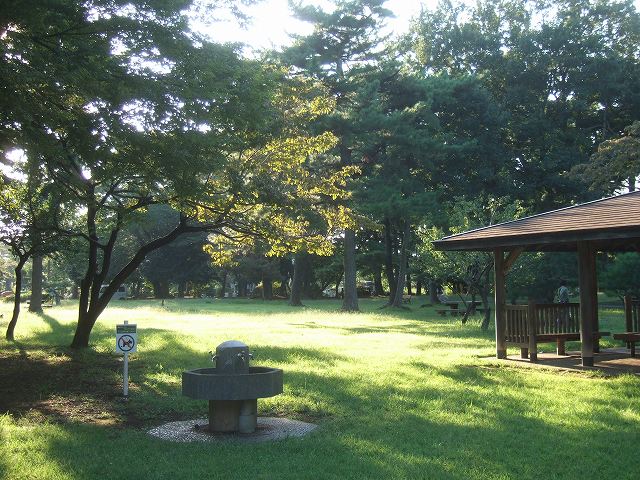 a0227507_150898.jpg