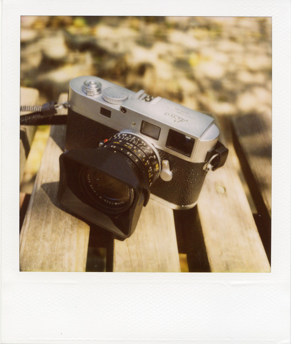 ポラッタ (Polaroid 690 SLR )_b0125014_20294267.jpg