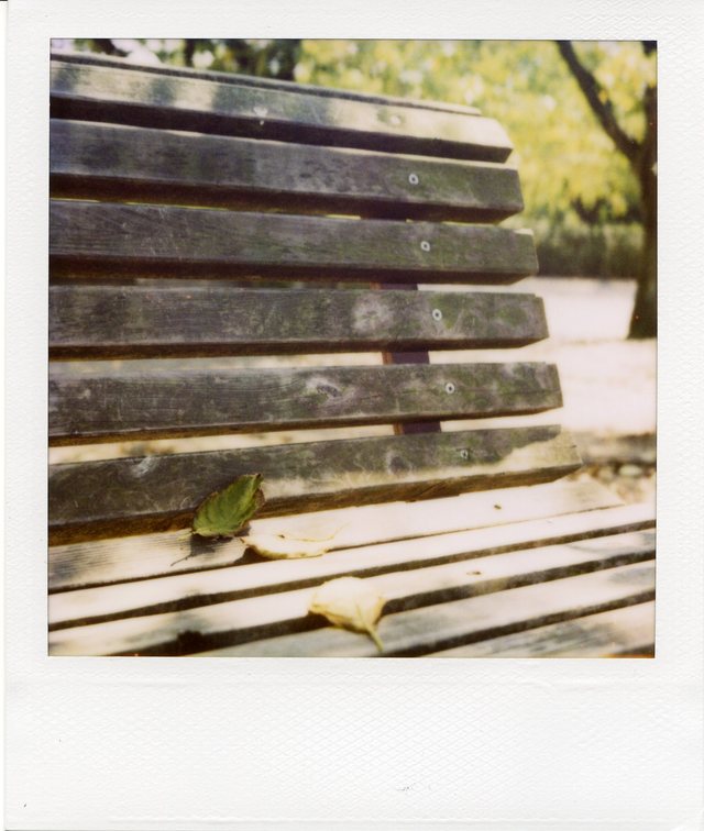 ポラッタ (Polaroid 690 SLR )_b0125014_20301923.jpg