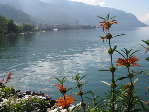 b0103915_23324563.jpg