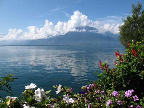 b0103915_23344100.jpg