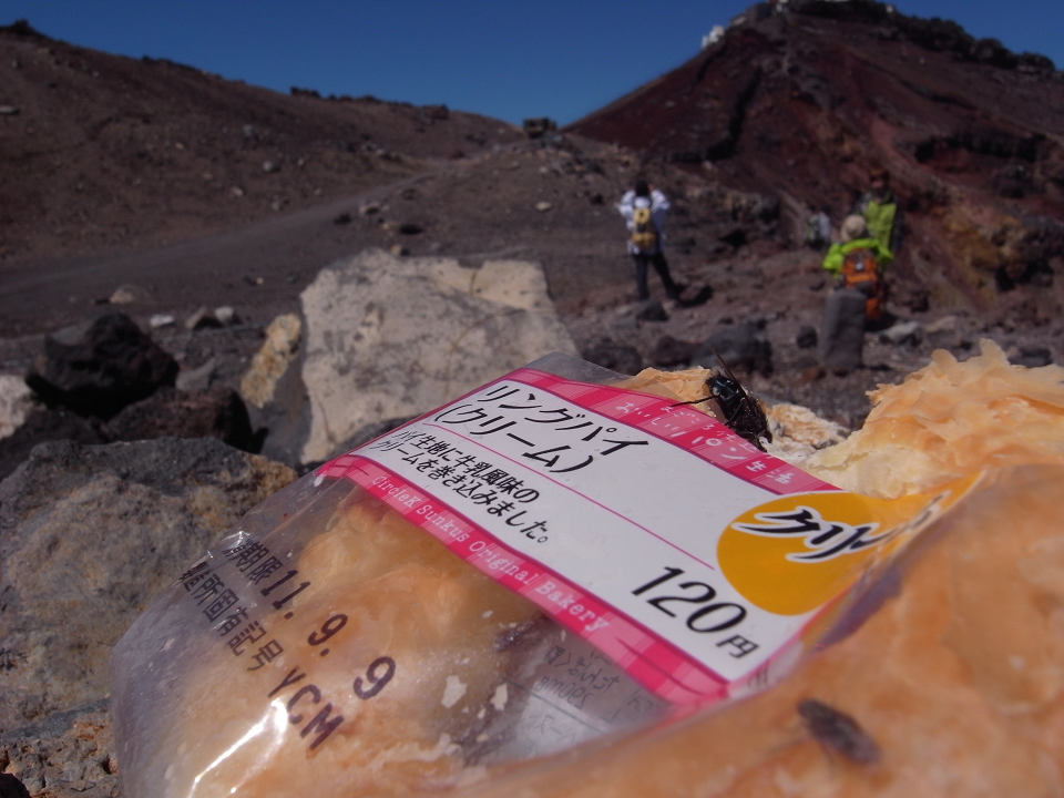 閉山後の富士山_d0147315_10312586.jpg