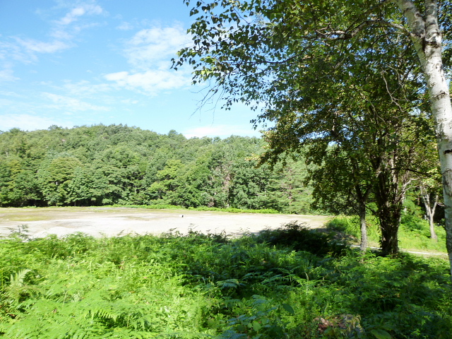 d0170615_21524010.jpg