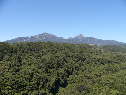 d0183417_21513443.jpg
