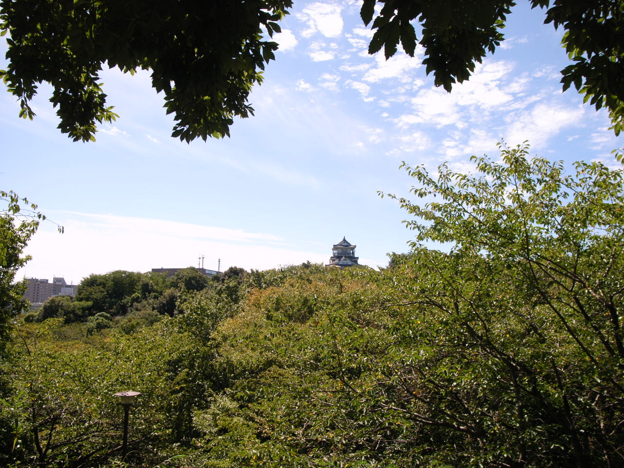 b0225620_11325688.jpg