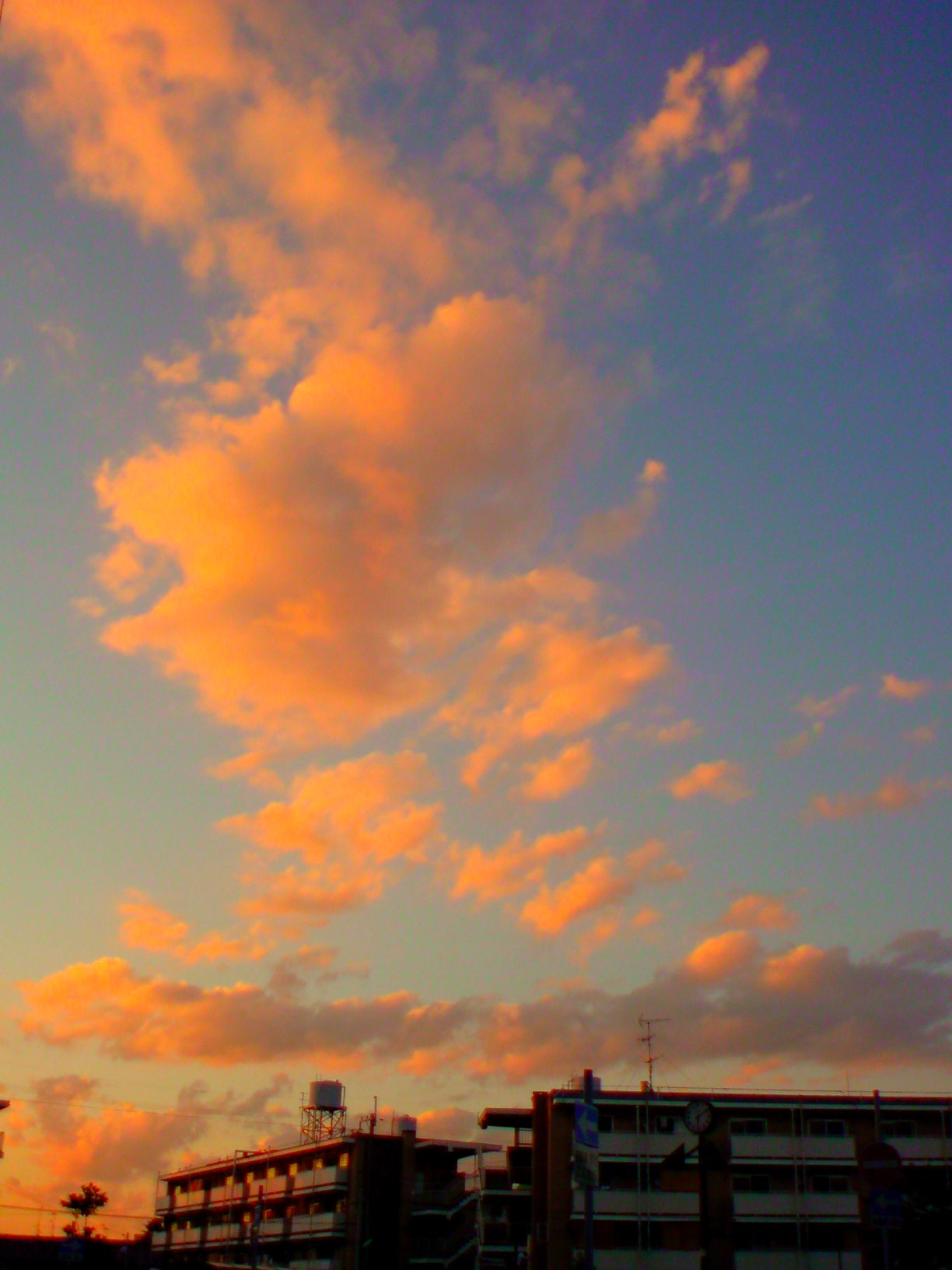 d0229621_011950.jpg